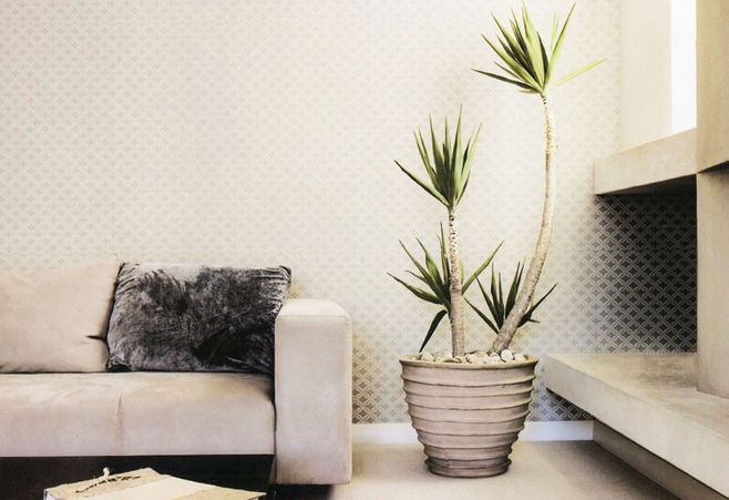 20181005160300137701.jpg 426ee24bfbbe3cd65d99a6e094ae5d7f3f9107371ffdc-lRGLNe_fw658.jpg